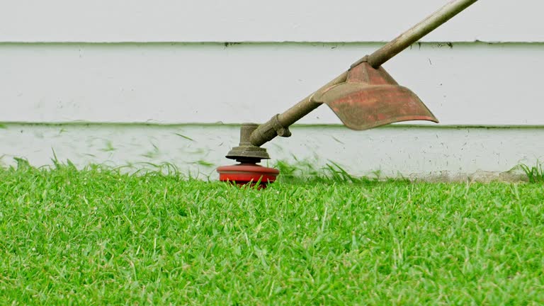 How Our Tree Care Process Works  in  Lavon, TX
